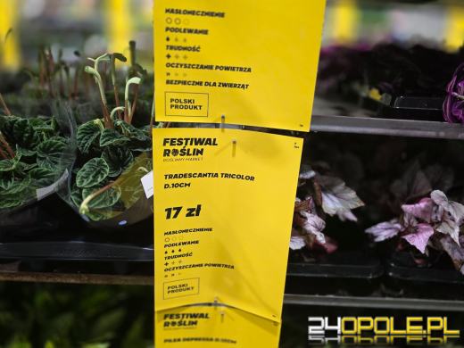 Niektórzy przychodzą tylko popatrzeć, ale wychodzą z pełną skrzynką