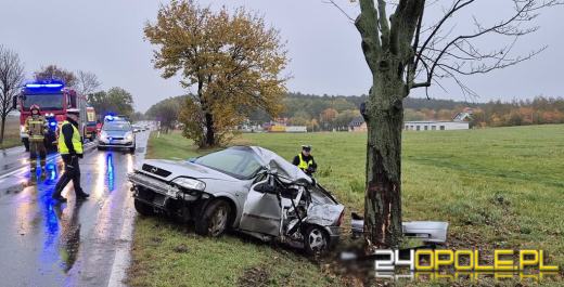 18-latka doprowadziła do wypadku - nyscy policjanci wyjaśniają przyczyny