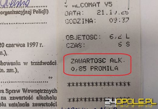 Blisko promil i kilkadziesiąt kilometrów do celu. Kierowcę ciężarówki zatrzymano w Wachowicach