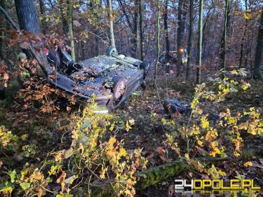 Samochód na czeskich tablicach w rowie. Policja ustala, gdzie jest kierowca