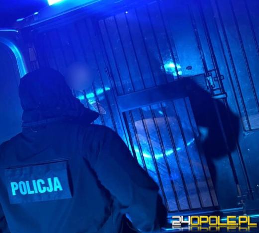 Zaatakował policjantów podczas nocnej interwencji. 35-latek z zarzutami