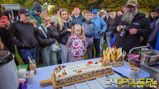 Opolskie schronisko świętuje 33. urodziny. Najważniejsze życzenie? Nowe domy