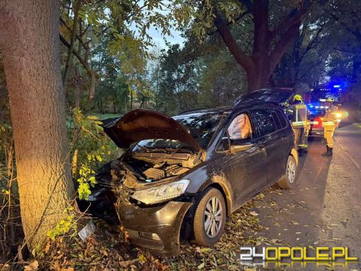 29-latek uderzył samochodem w drzewo na trasie Regulice-Bykowice