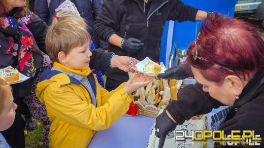 Opolskie schronisko świętuje 33. urodziny. Najważniejsze życzenie? Nowe domy