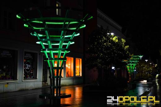 Opole rozbłysło na zielono. Wyjątkowa iluminacja w ważnym geście solidarności