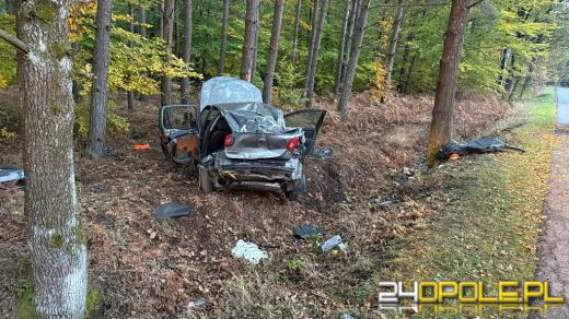 Śmiertelny wypadek w Zagwiździu. Nie żyje 17 i 18-latek