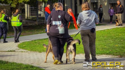 Opolskie schronisko świętuje 33. urodziny. Najważniejsze życzenie? Nowe domy