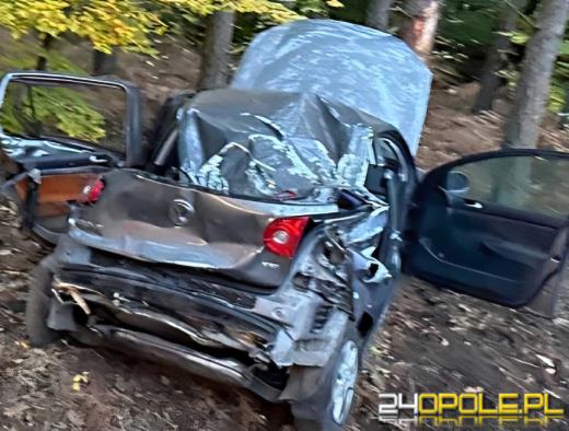 Śmiertelny wypadek w Zagwiździu. Nie żyje 17 i 18-latek