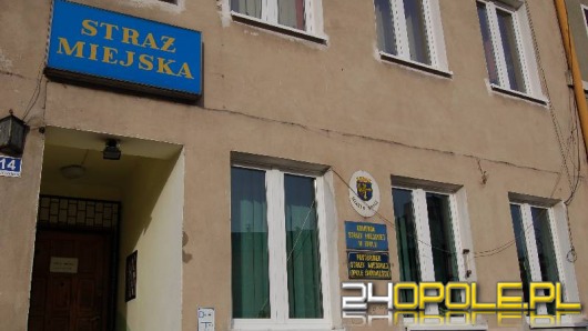 "drogowa" straż miejska?