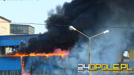 Pożar olejarni w Brzegu