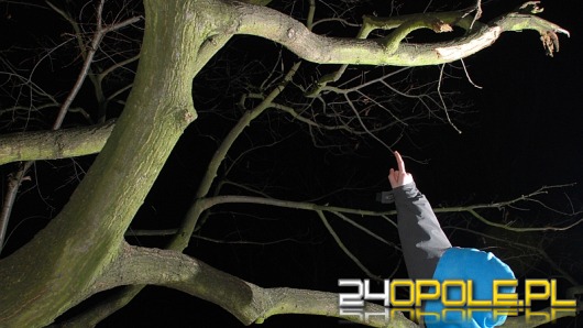 Samobójstwo przyjaciół z K-Koźla