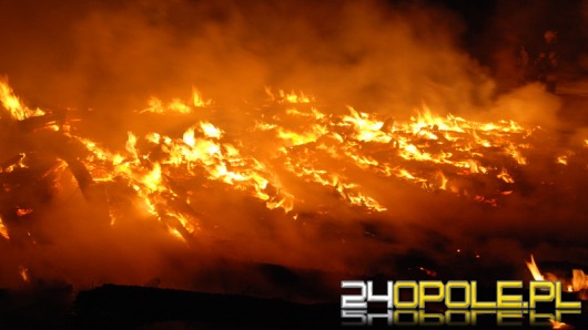 VIDEO: Pożar tartaku w Suchym Borze