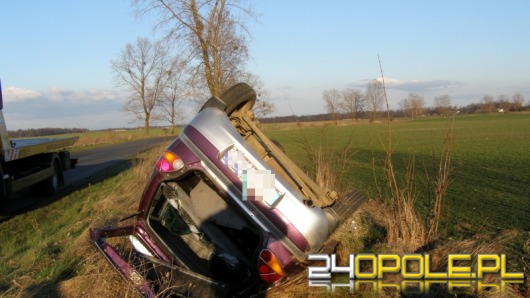 Kot w samochodzie przyczyną dachowania