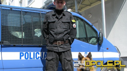 Pies tropił przez 7 kilometrów