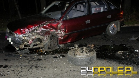 Wypadek w Krasiejowie