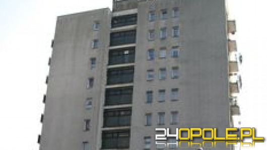 Wyrzucił kota z 10 piętra