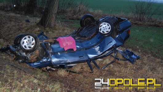Nie dostosował prędkości, wypadł z drogi