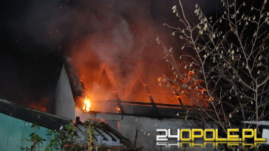 Pożar altanki w Opolu