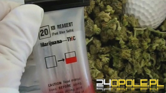 Międzynarodowa współpraca ma sens