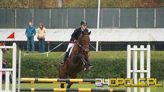 W weekend zawody konne