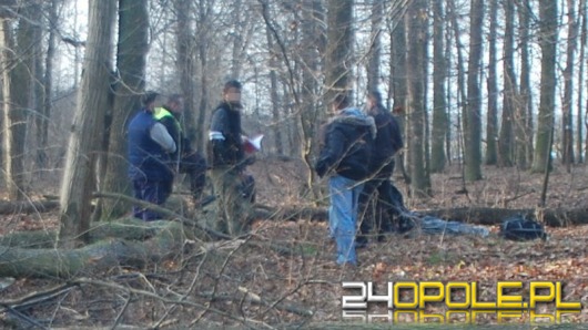 Zginął przygnieciony przez drzewo