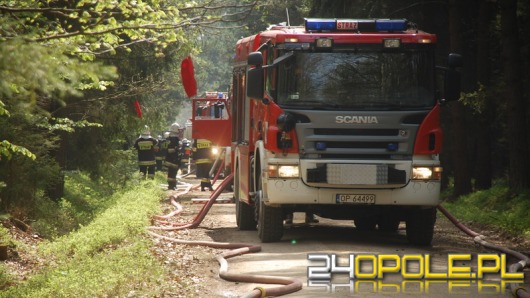 Wspólne szkolenia polskich i niemieckich strażaków