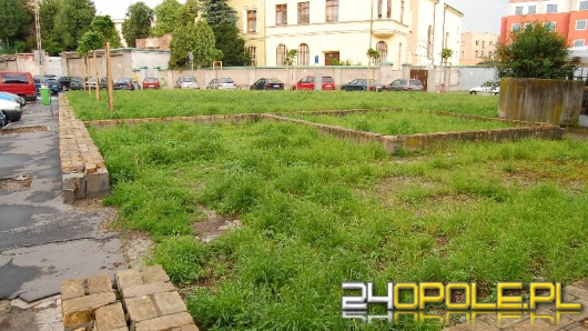 Powstaną toalety dla psów
