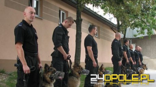 Przewodnicy psów rywalizowali w Opolu