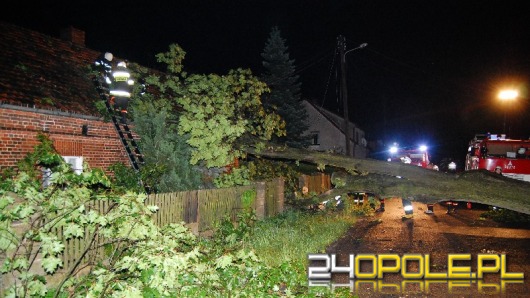 Pracowita noc dla strażaków