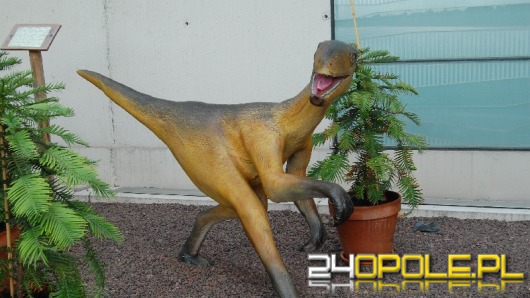 Jurapark zmieni swoje oblicze