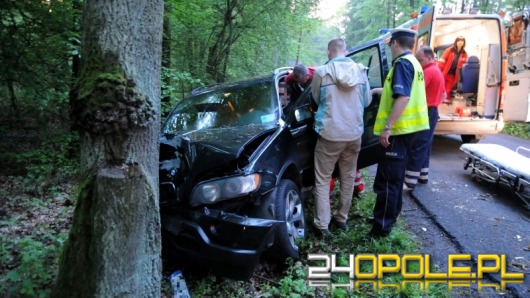 BMW uderzyło w drzewo