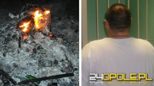 Wrzucił koty do ogniska chcąc się ich pozbyć