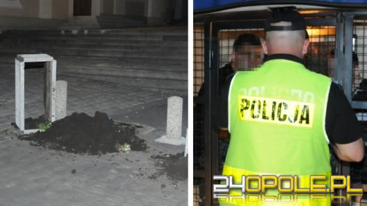 19-latkowie demolowali donice