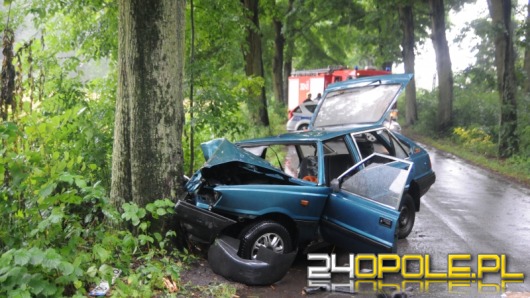Polonez uderzył w drzewo pod Popielowem