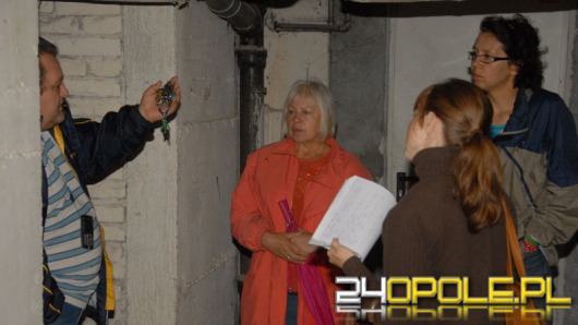Problem z kotami na opolskiej Malince