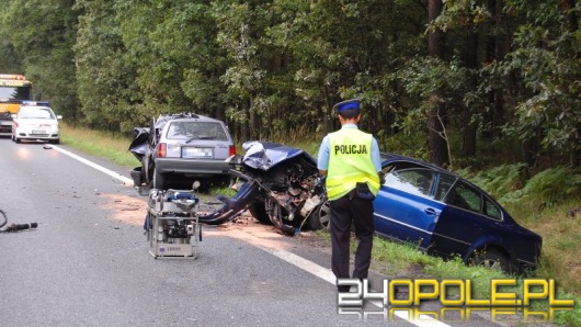 Tragiczny wypadek w lesie dąbrowskim