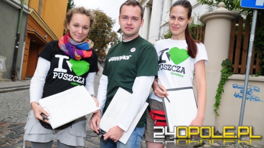 Greenpeace namawia do ratowania Puszczy Białowieskiej