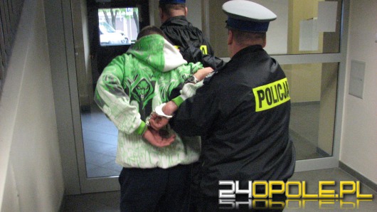 22-letni sprawca rozboju i kradzieży w areszcie