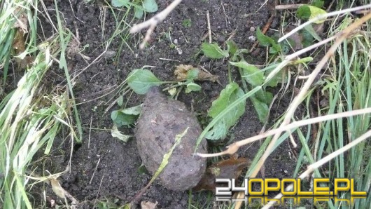 Podczas sprzątania znaleźli granat
