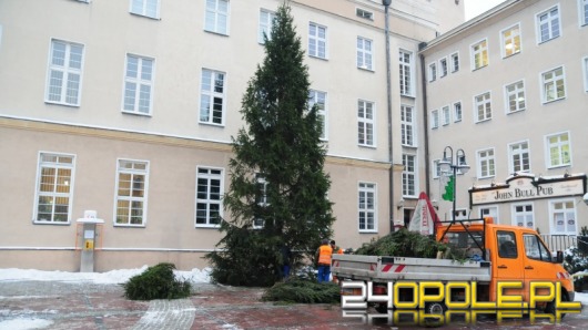 Świąteczne ozdoby w centrum miasta