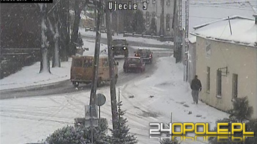 Miejski monitoring pomógł w ujęciu złodzieja