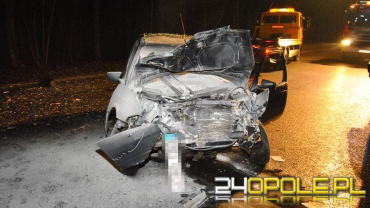 Miał 1,5 promila, spowodował wypadek