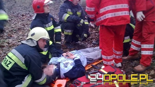 Bus uderzył w drzewo, dwie osoby ranne