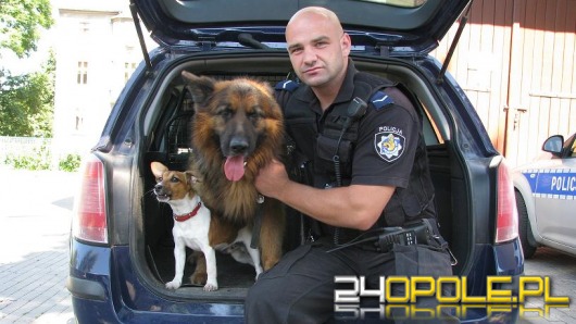 Kolejny sukces policyjnego psa 