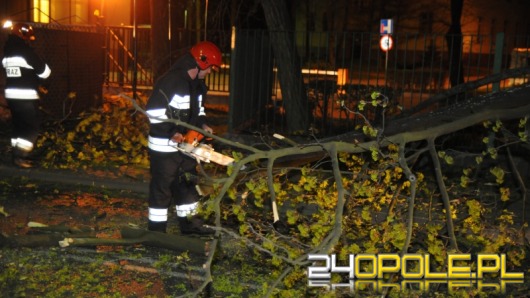 Wiatr powalał drzewa, zrywał linie energetyczne