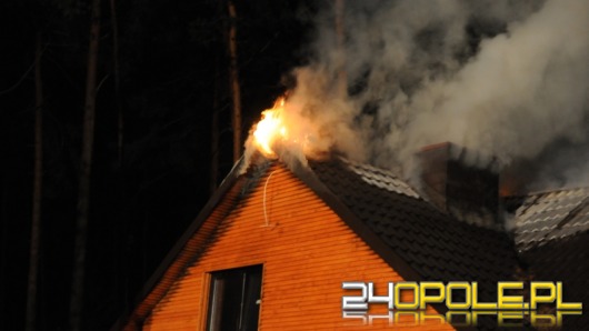 Pożar domku letniskowego w Turawie