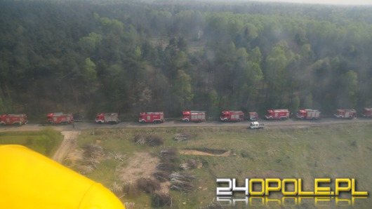 500 strażaków ćwiczy w lasach pod Kędzierzynem-Koźlem