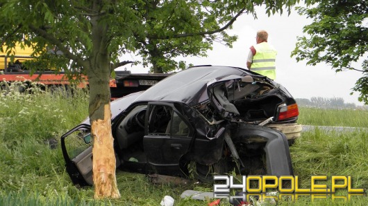 W Leśniczówce auto wypadło z drogi