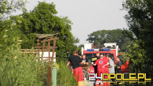 Śmierć na działkach w Lewinie Brzeskim