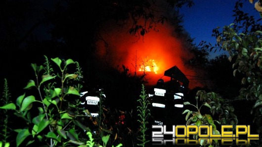 Pożar na terenie ogródków działkowych